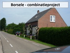 borsele